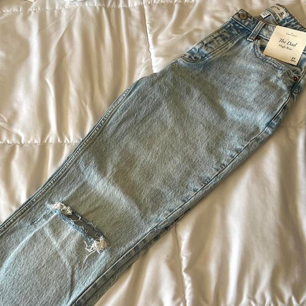 Abercrombie & Fitch Curve Love High Rise Dad Jean